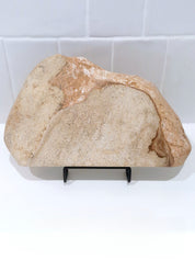 Creme Tray (straight back) #2