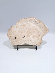 Creamy and Dreamy #2