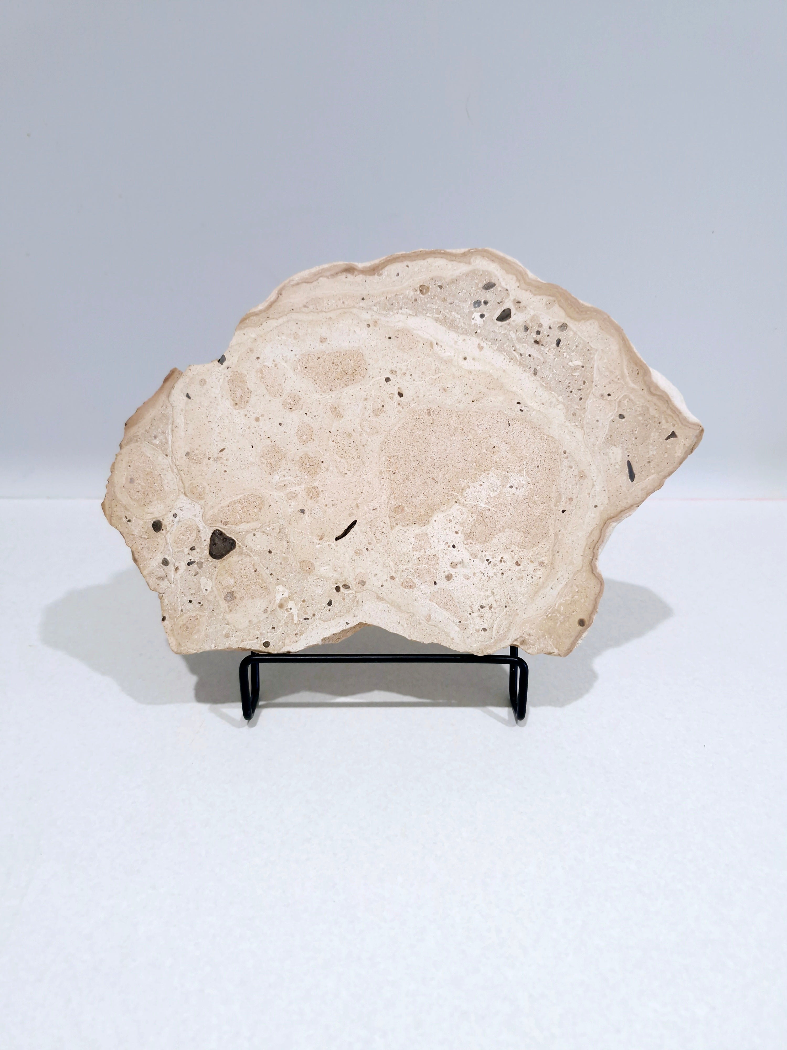 Creamy and Dreamy #2