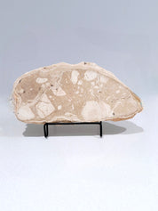 Creamy and Dreamy #1