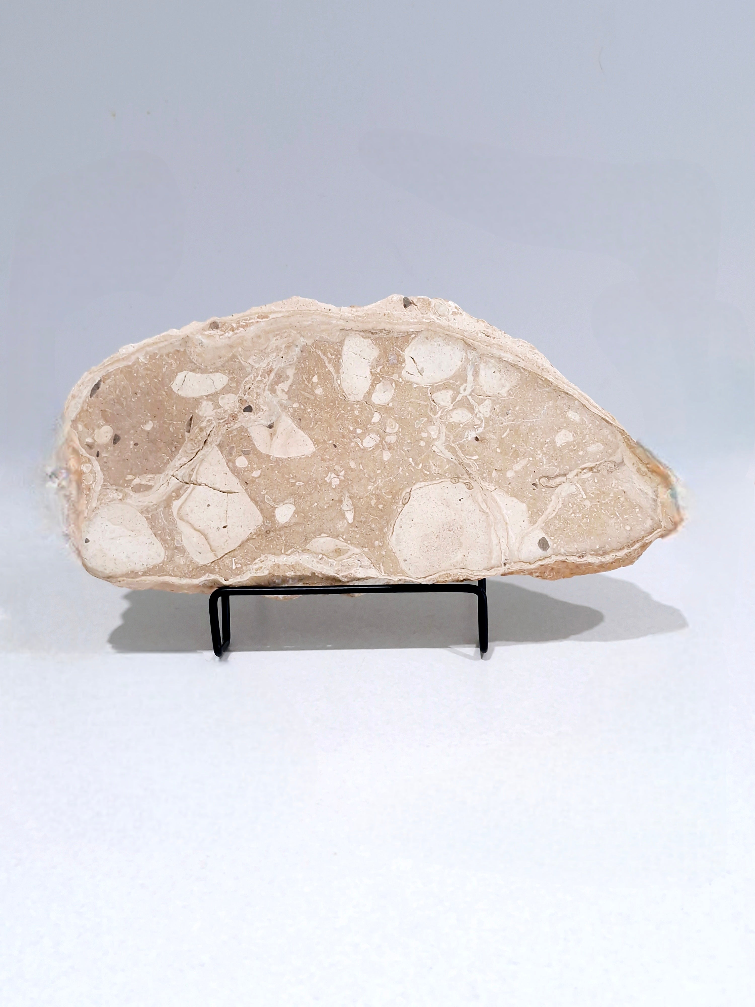 Creamy and Dreamy #1