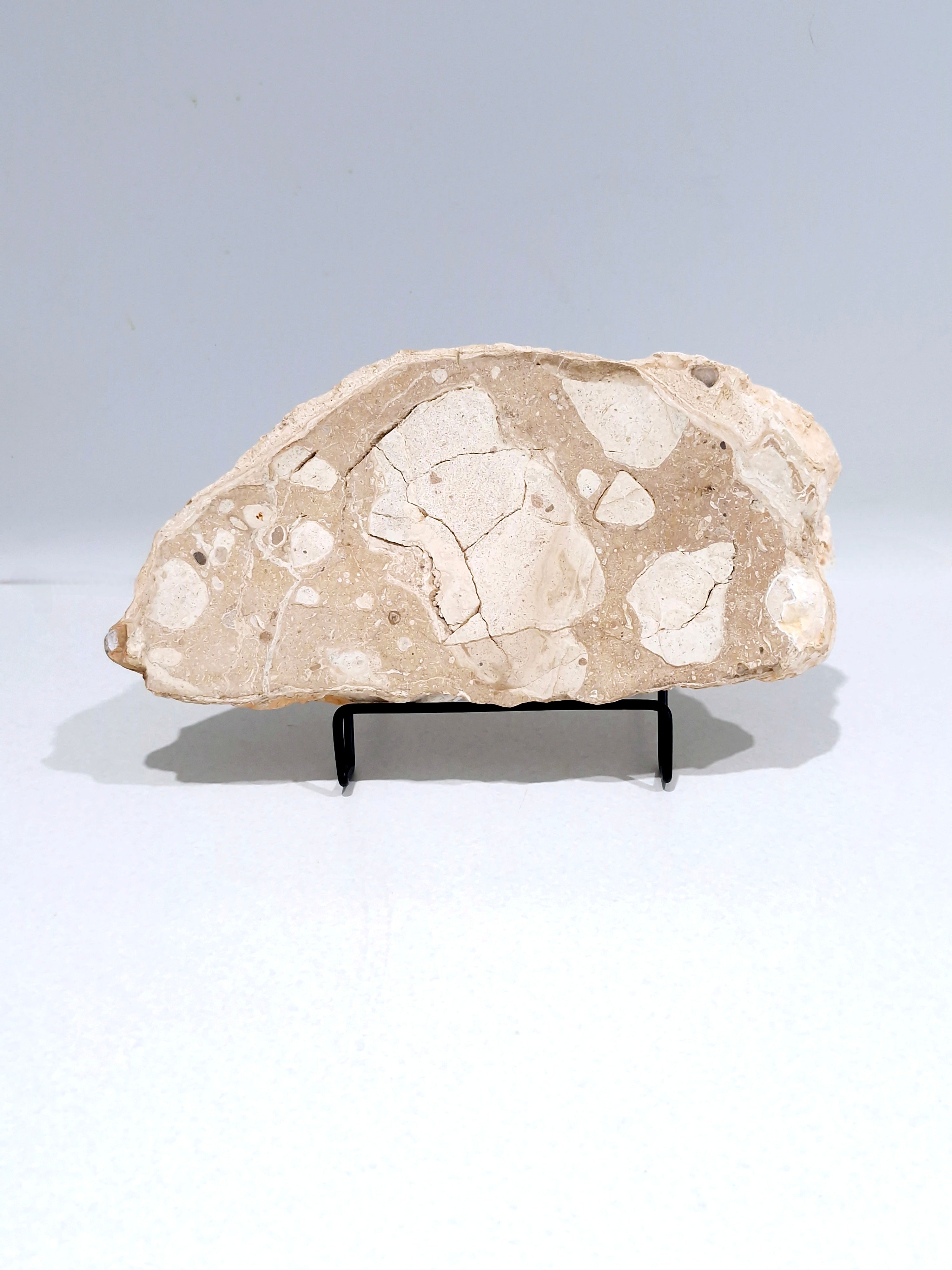 Creamy and Dreamy #1